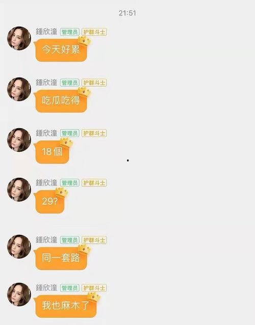 娱乐吃瓜酱的评论怎么写,揭秘娱乐圈最新热点事件